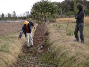 ditch cleaning