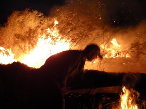 robin_incendio