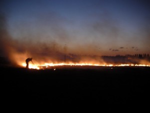 robin_incendio3