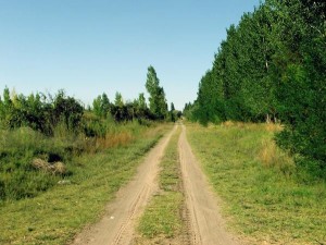 road